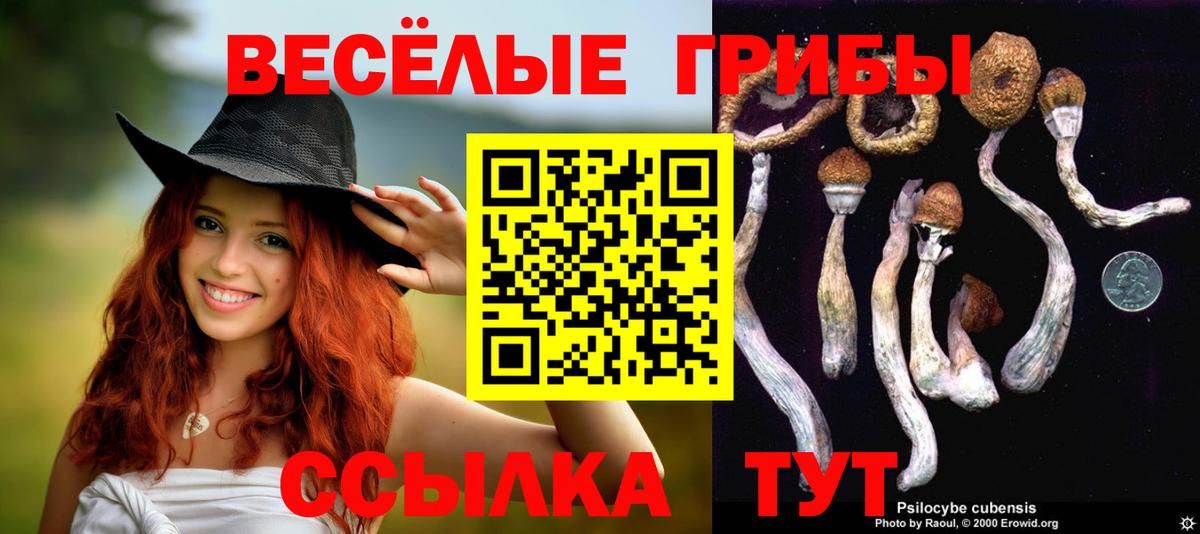 Галлюциногенные грибы прущие грибы  Галлюциногенные грибы Magic Shrooms  Вход с VPN  Калач-на-Дону 